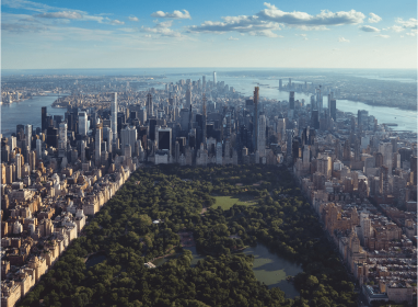 new york city city thumb